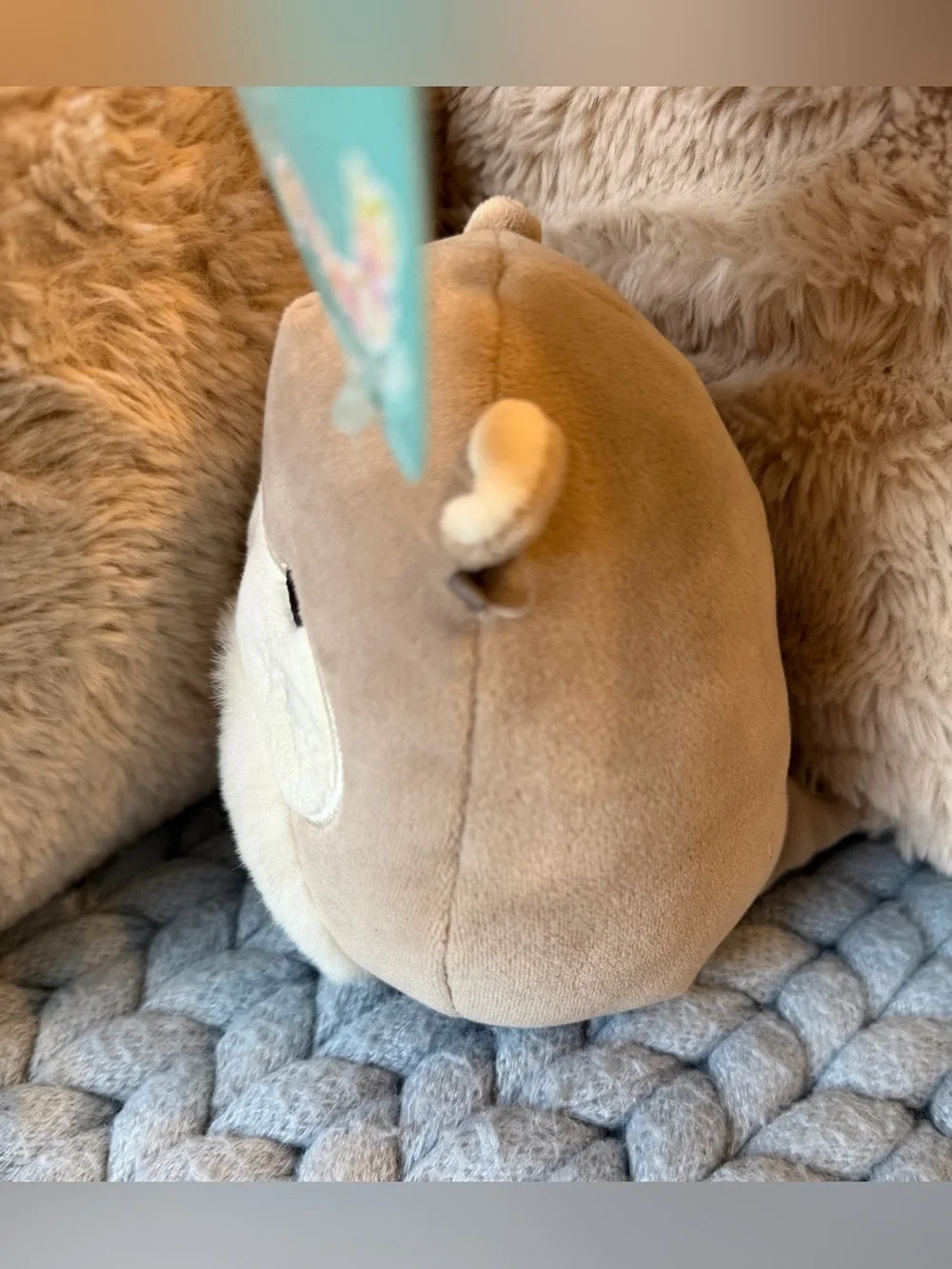 Squishmallows Rie Otter 5” Plush NWT Brown Cream Kellytoy
